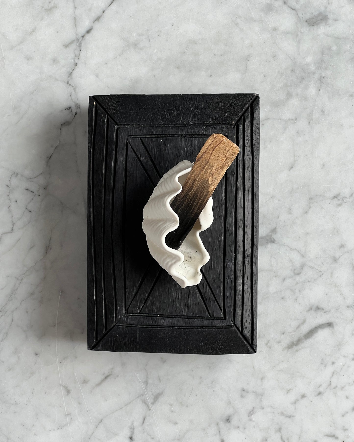 ПІАЛА MINI SHELL