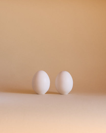 SALT & PEPPER SET — EGGS