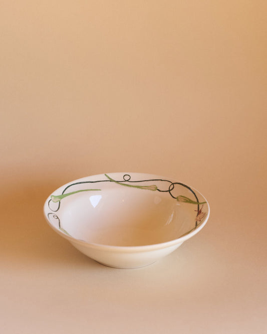 BOWL GARDEN 16/5