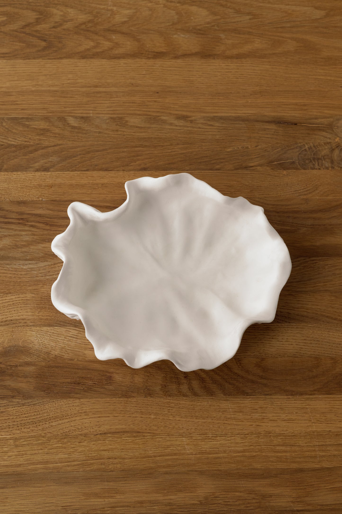shell bowl
